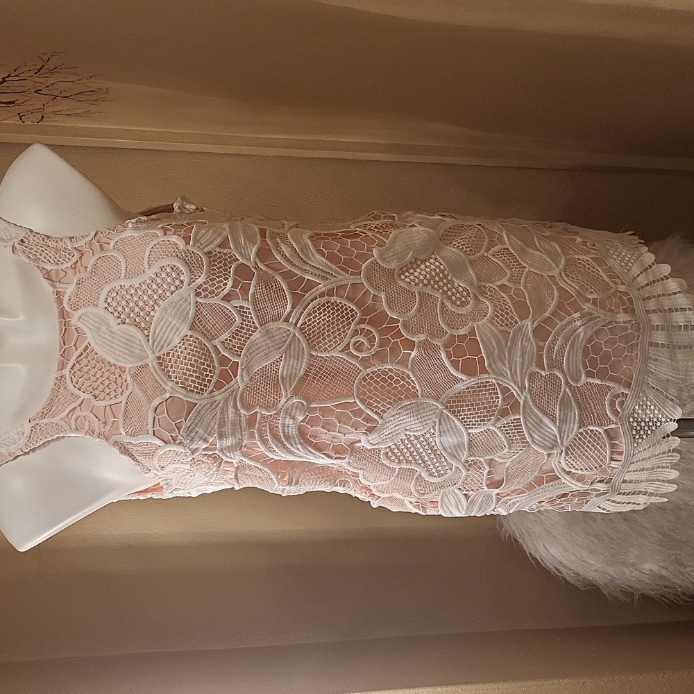 Blush/ivory cocktail dress Small*Lovers & Friends